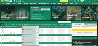Comprehensive Betwinner Casino Reviews Insights and Experiences